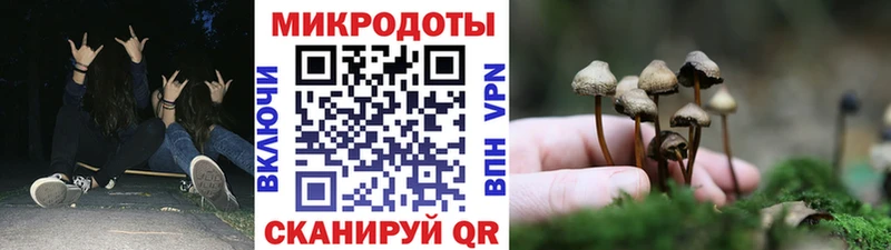 мега как зайти  что такое   Чита  Галлюциногенные грибы Cubensis 